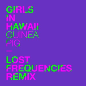 Girls in Hawaii — Guinea Pig (Lost Frequencies Remix)