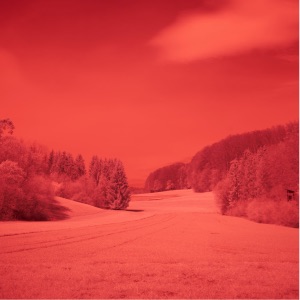 Glenn Morrison — Blue Skies With Linda (Original Mix)
