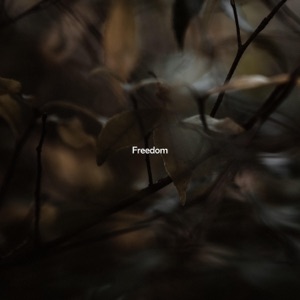 Gostes — Freedom
