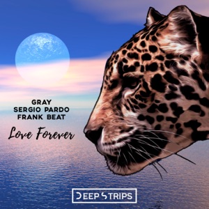 GRAY & Sergio Pardo & Frank Beat — Love Forever (Jako Diaz Remix)