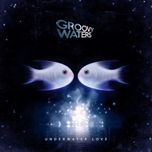 Groovy Waters — Super Freak