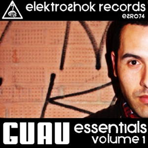 GUAU — Antiaereo 13