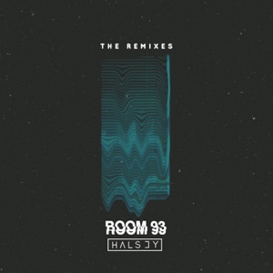 Halsey — Trouble (Sander Kleinenberg Remix) - 0:00