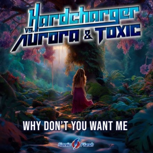 HARDCHARGER/AURORA/TOXIC — Why Don't You Want Me