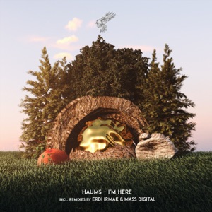 HAUMS — The Jungle (Mass Digital Remix)