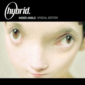 HYBRID — If I Survive