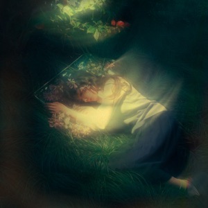 silent anthem, HYPNXTIC — freedom