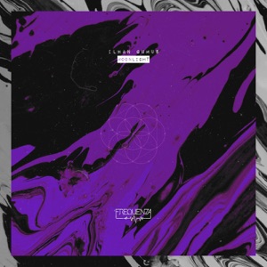 Ilhan Gumus — Desperate Longing (Original Mix)
