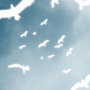 IL'HAN — Umytu qiyn