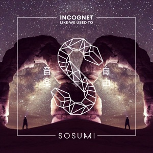 Incognet — Like We Used To