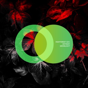 Indifferent Guy & ODYSSAY — Moonlight