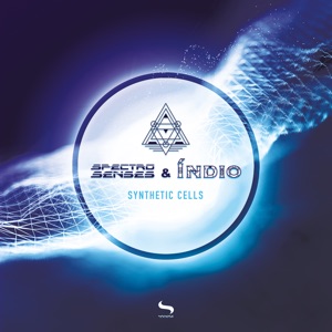 Spectro Senses, Indio (Trance) — Reflection (Original Mix)