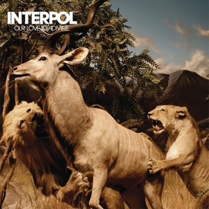 Interpol — Rest My Chemistry
