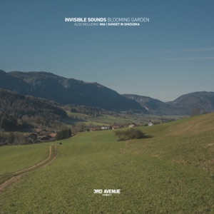 Invisible Sounds — Sunset in Shizuoka (Original Mix)