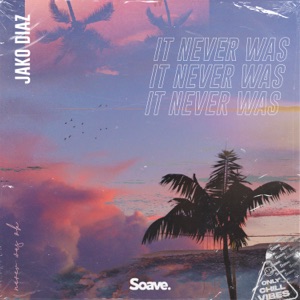 Jako Diaz — It Never Was
