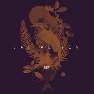 JAY ALIYEV — CRY