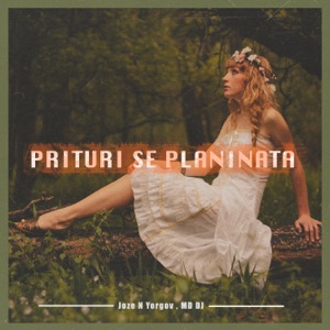 Joze N Yorgov & MD DJ — Prituri Se Planinata
