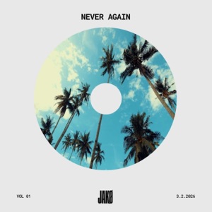 Juan Almiana Obando With Poetry Maiden — Never Again (Radio Edit)