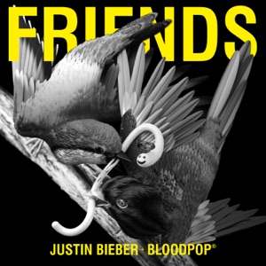 Justin Bieber — Friends