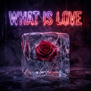 KANVISE / ERCODES / SMOLA — What Is Love?