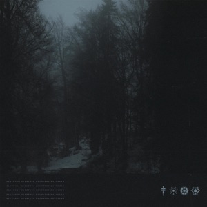 KAZUKII — Nocturne