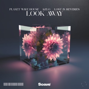 Planet Wave House, Kelo & Lost In Reveries — Look Away