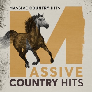 Kid Rock — Cowboy