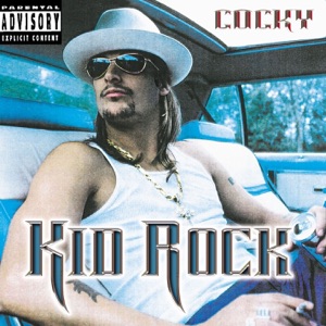 Kid Rock Feat. Sheryl Crow — Picture