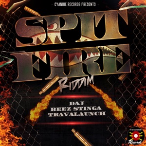 KILL THE NOISE/MADSONIK — Spitfire Riddim