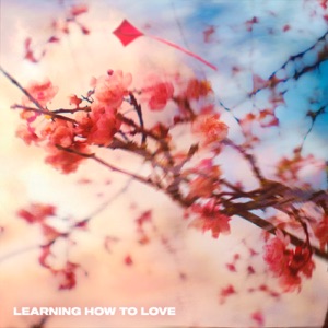 Hoang, KnownAsNat — Learning How to Love