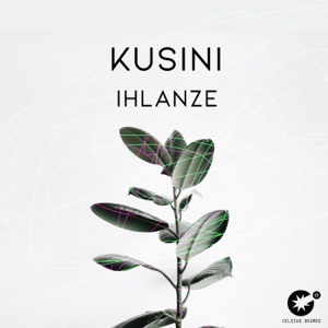 Kusini — Ihlanze