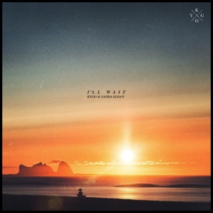 Kygo & Sasha Sloan — I'll Wait