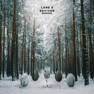LANE 8/CHANNY LEANEAGH — Survive (Grafix rmx)