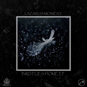 Lazarus Moment — Far Away