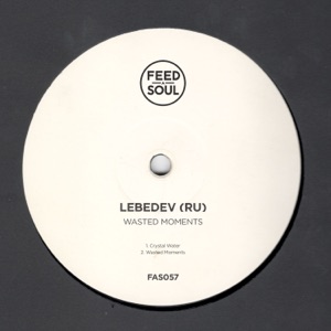 LEBEDEV — Crystal Water