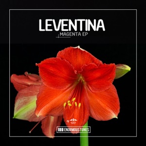 LEVENTINA — Space Control