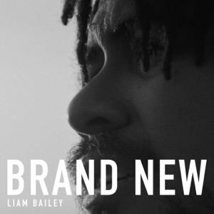 Liam Bailey (Uk) — Take Us Back To The Start