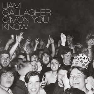 Liam Gallagher — Everything’s Electric