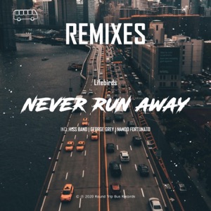 Lifebirds — Never Run Away (Nando Fortunato Remix)