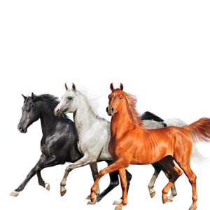 Lil Nas X ft. Billy Ray Cyrus — Old Town Road (remix)