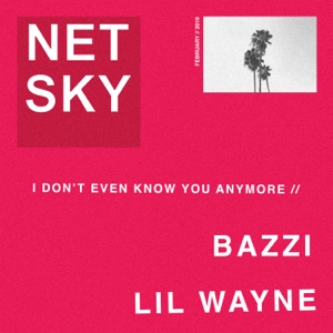 LIL WAYNE/NETSKY — I Don't Even Know You Anymore
