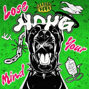 LIQUID STRANGER/VBOO — Lose Your Mind