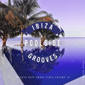 DJ Skywalk, Lisa Lucius — Love 2 Love (Squib Extended Mix)