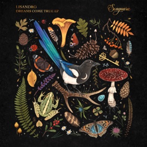 Lisandro (Ar) — Dreams Come True (Extended Mix)