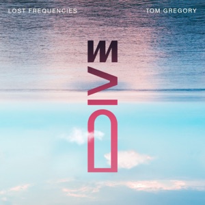 Lost Frequencies & Tom Gregory — Dive (Deluxe Mix)