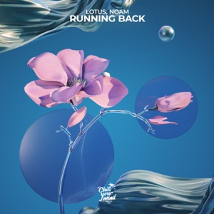 Lotus/Noam — Running Back