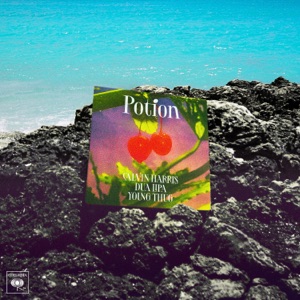 Love Potion — I Got The Feeling