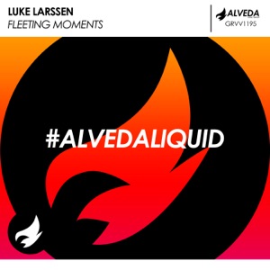 Luke Larssen — Fleeting Moments