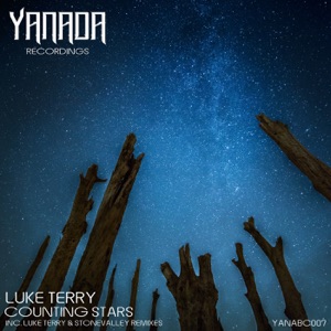 Luke Terry — Counting Stars (album mix)