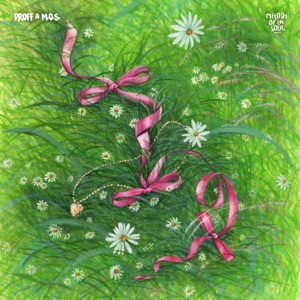 Proff, M.O.S. — Namtso (Extended Mix)